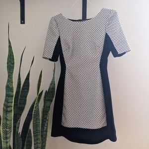 Polka dot Max and Cleo XS cocktail dress